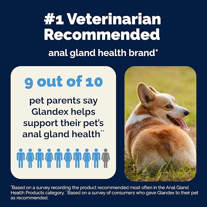 Vetnique Glandex Daily Probiotics for Dogs with Prebiotics to Support Gut Health with Fiber and Digestive Enzymes, Probiotic Chews or Powders (8.5oz Powder, Pork Powder)