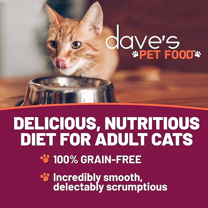 Dave's Pet Food Grain Free Wet Cat Food Gravy (Turkey & Giblets Dinner in Gravy), Made in USA Naturally Healthy Canned, Added Vitamins & Minerals, 5.5 oz Cans (24 Pack)