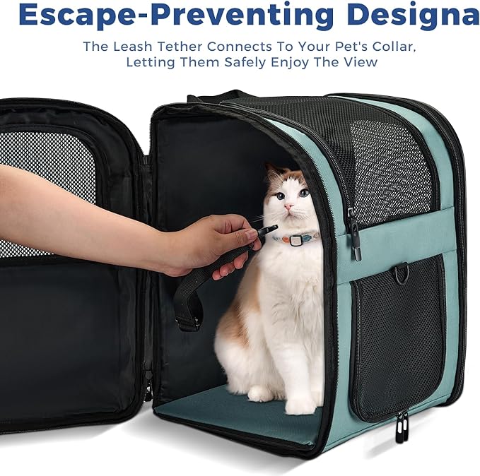 Apollo Walker Dog & Cat Carrier Backpack for 4-15lb Pets - Ventilated Safe Design with Padded Back Support, Breathable Mesh Pet Backpack for Hiking, Travel, Outdoor (Blue)