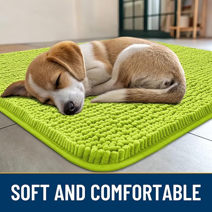 Smiry Dog Door Mat for Muddy Paws 30x20, Absorbs Moisture and Dirt Doormat, Non-Slip Washable Quick Dry Chenille Front Door Mat Indoor Entrance, Entryway Carpet for Inside Floor, Bright Green