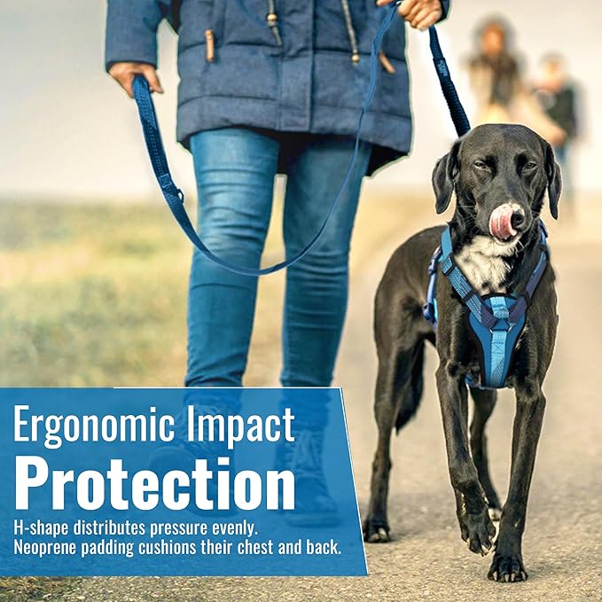 No-Pull Dog Harness with Handle - Escape Proof, Anti-Pulling, Grip Control, Multi-Angle Reflective for Safe Walks & Training, Easy On & Off, Metal Buckle–Pet Harness, Medium/Large Dogs- H4- Black