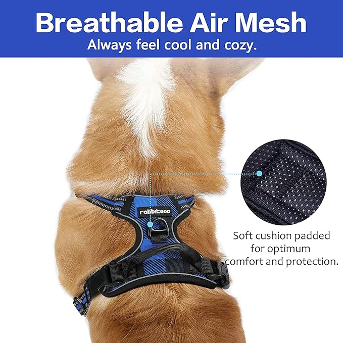 rabbitgoo Dog Harness No-Pull, Comfortable Padded Plaid Harness with Handle Easy Control, Adjustable Reflective Pet Vest with 2 Leash Clips for Small Dog, Blue Plaid, S