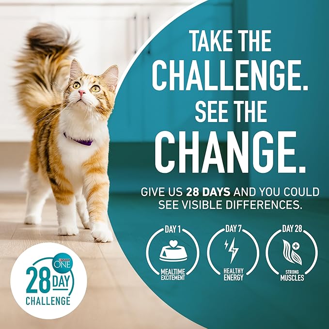 Purina ONE High Protein, Natural Senior Dry Cat Food, Indoor Advantage Senior+ - 7 Lb. Bag