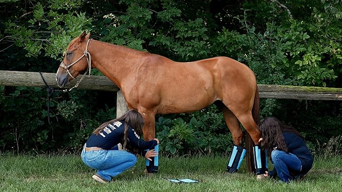 Warrior Fly Boots for Horses - Breathable Mesh Horse Boots for Fly Protection & Leg Comfort - Set of 4 (Lil Warrior, Neon Pink)