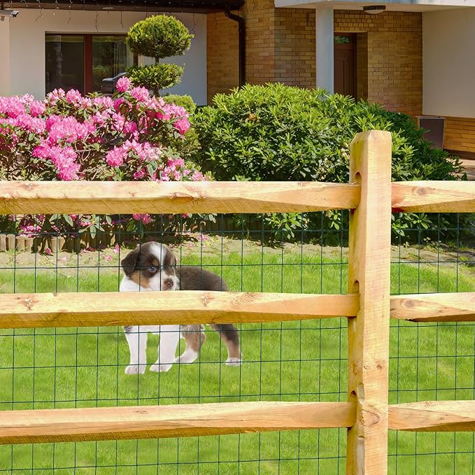 Green PVC Coated Welded Wire Fence 48 Inch x 50 Foot, 2 Inch x 3 Inch 16GA, Garden Border Fencing Roll Vinyl Coating Metal Wire Mesh for Yard Vegetable Plant Protection Poultry Netting