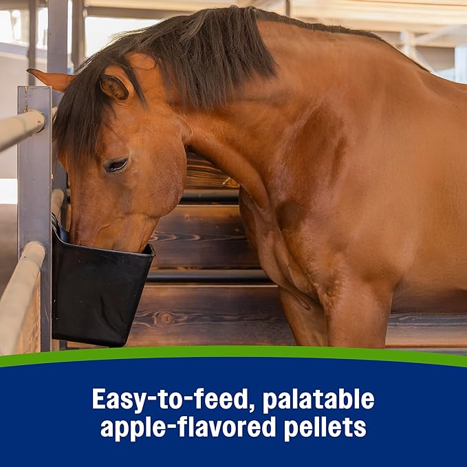 Farnam Apple Elite Electrolyte Supplement for Horses, Replaces Vital Minerals, Encourages Hydration, No Added Sugar, 7.5 lb, 40 Day Supply