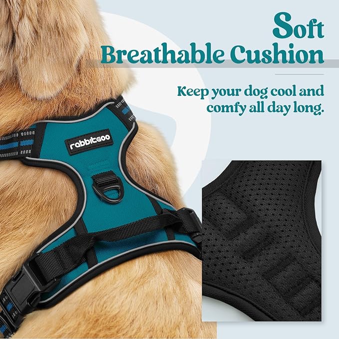 rabbitgoo Dog Harness No Pull with 2 Leash Clips, Adjustable Soft Padded, Reflective Oxford No Choke Pet Vest with Easy Control Handle for Medium Sized Dogs, Blue Coral, M