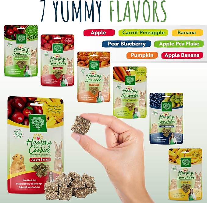 Small Pet Select Healthy Snackers Mini Cookies- Apple Banana, 2 oz