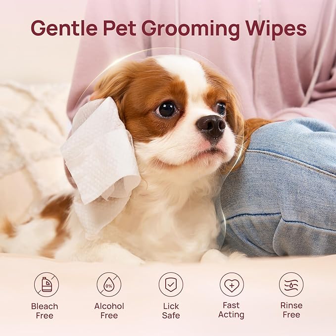 HICC PET Wipes for Dogs and Cats, Vet-Recommended Pets Cleaning Wipes, Deodorizing Hydrating, Nourishes Smoothes Fur, Fermented Coconut Oil Grooming Paws, Body and Butt, Thicken, Unscented, 100 Count
