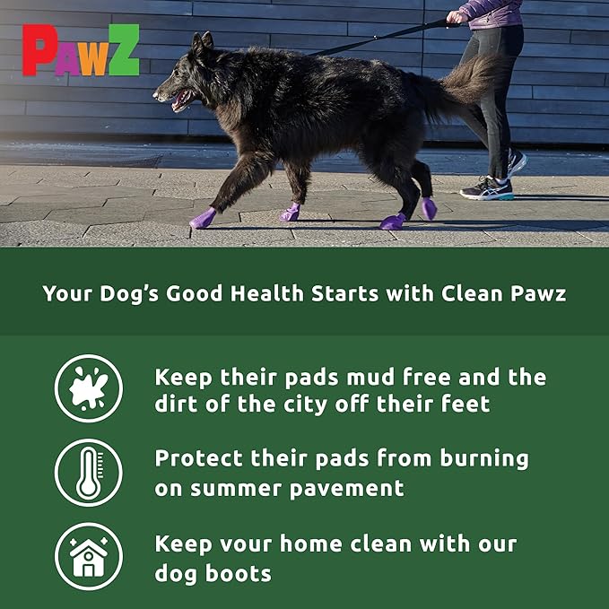 Protex PawZ Rubber Dog Boots for Paws 4" and Up, 24 Total (2 Packs of 12) - All-Weather, Anti-Slip, Waterproof Dog Socks - X-Large, Green