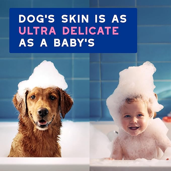 DOUXO® Skin & Coat SPA - Ultra-Safe Dog Shampoo for Itchy Skin, 16 fl oz, Skin-Friendly Formula Cleans and Soothes, Leaves The Coat Soft and Radiant