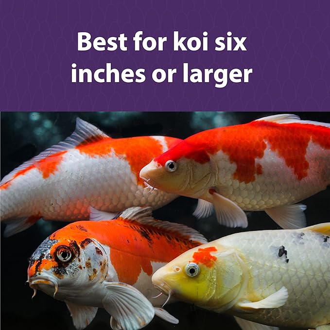 Mazuri Koi Platinum Nuggets Floating Koi Food for Fish, 3.5 lbs.