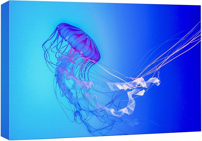 wall26 Canvas Print Wall Art Vibrant Neon Blue Pink Jellyfish Deep Sea Nature Animals Photography Realism Rustic Scenic Landscape Wilderness Earth Colorful for Living Room, Bedroom, Office - 32"x48"