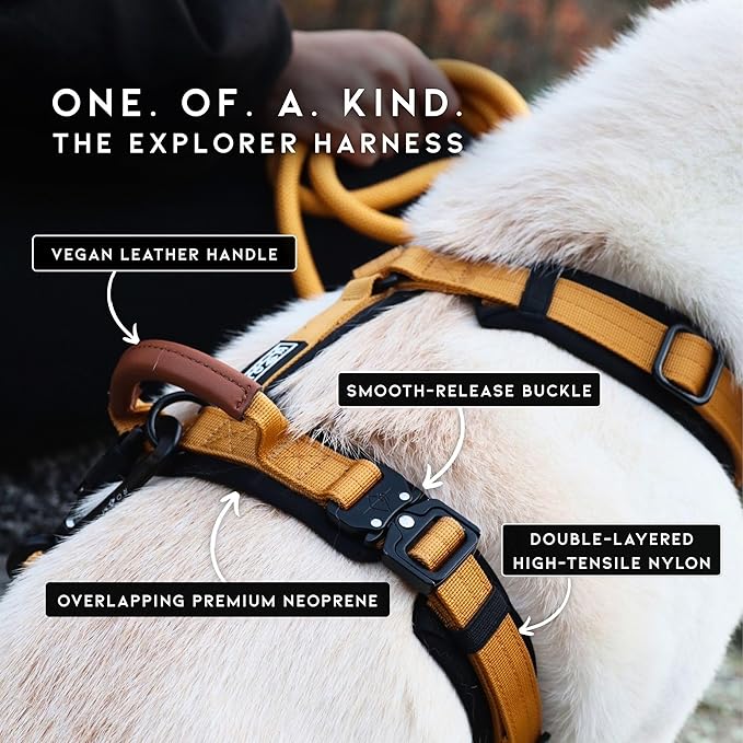 MADE TO ROAM Premium Explorer Harness - Y-Shaped Dog Harness with Adjustable Durable Nylon, Soft Padding, Metal Buckles and Leather Handle for Small, Medium, Large Dogs (Virginia Mountains, Size 2)