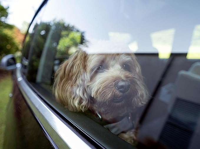 Snoozer Lookout I Car Seat - Dog Car Seats for Small Dogs, Puppy Booster Bed for Small & Medium Sized Pets Up to 25 Lbs, Elevated, Washable - Medium, Palmer Dove