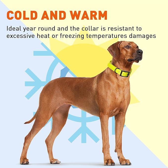 Dogline Biothane Waterproof Dog Collar Strong Coated Nylon Webbing with Black Hardware Odor- Proof for Easy Care Easy to Clean High Performance Fits Small Medium or Large Dogs, Safety Yellow