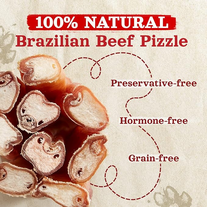 Natural Farm Odor-Free Thick Bully Sticks (12”, 5-Pack) All-Natural Long-Lasting Dog Chews, 100% Beef Pizzle, Grass-Fed, Grain-Free, Protein for Muscle Development & Energy, Perfect for Large Dogs
