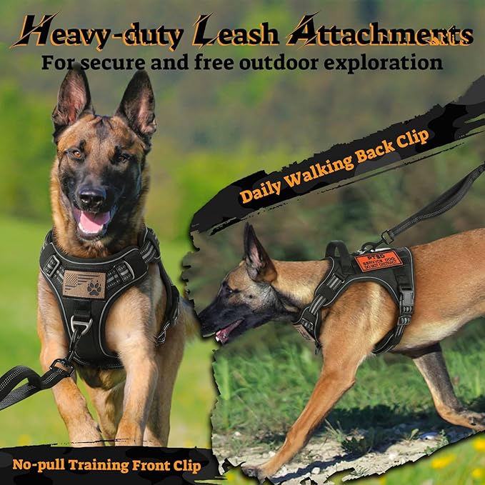 rabbitgoo Dog Harness Medium Sized No Pull, Tactical Service Pet Vest with Molle and Control Handle, Adjustable and Reflective Military Harness for Easy Walking and Training, Black, M