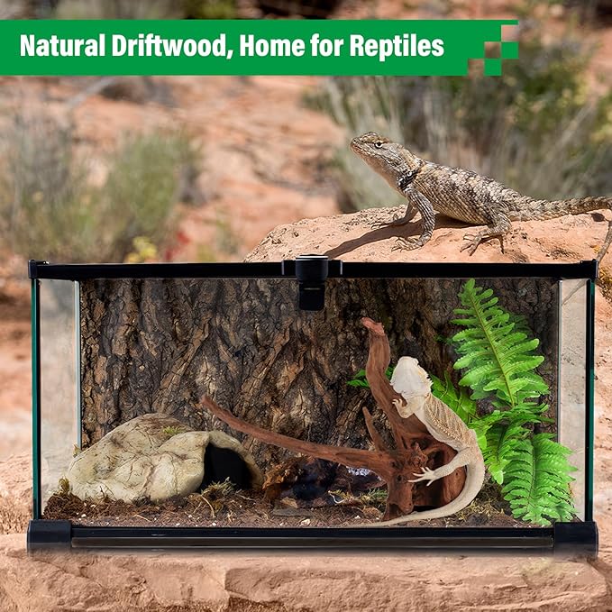 Driftwood for Aquarium Natural Aquarium Wood for Aquascaping Fish Tank Decorations Reptile Tank Decor (Natural Driftwood 9-14" (Pack of 2))