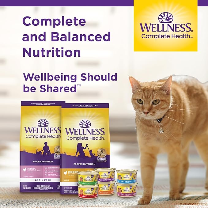 Wellness Complete Health Gravy & Minced Adult Wet Cat Food, Natural, Protein-Rich, Grain-Free, 3 Ounce, 24 Pack, (Chicken & Turkey Lovers Variety Pack)