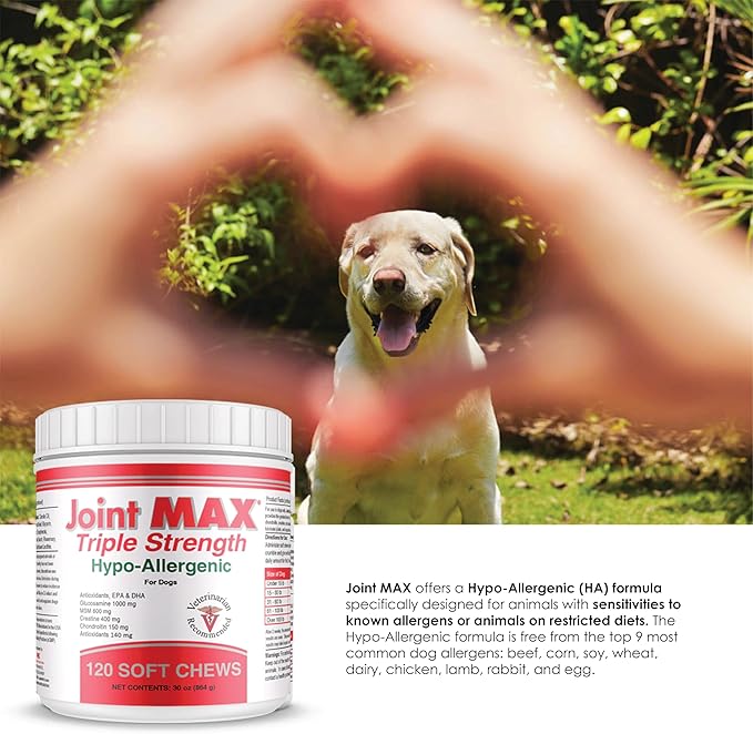 Triple Strength Hypo-Allergenic Soft Chews for Dogs - Hip and Joint Support Supplement with Glucosamine, Chondroitin, & MSM - Made in The USA - 120 Soft Chews