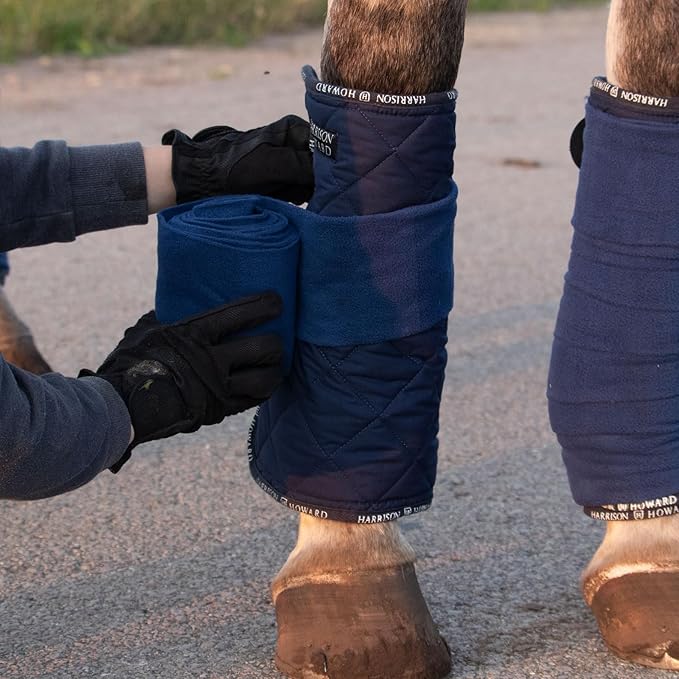 Harrison Howard Medicine-Retaining Shock-Absorbing Pressure Sores Prevention Quilted Leg Wraps for Horse Set of 4-Navy M