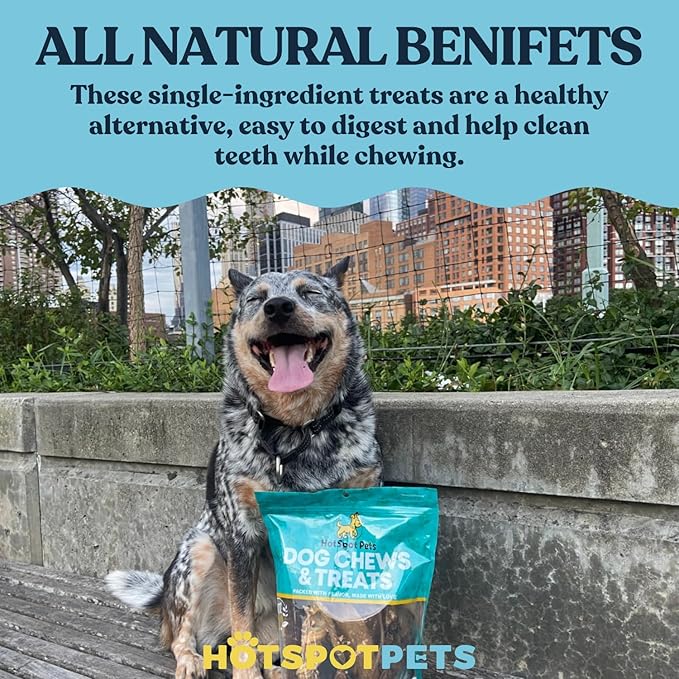 hotspot pets 8-9 Inch Large Rawhide Dog Chew Bones - (20 Pack) Made from Grass Fed Cows - Great for Dental & Oral Care for Aggressive Chewers Large Dogs