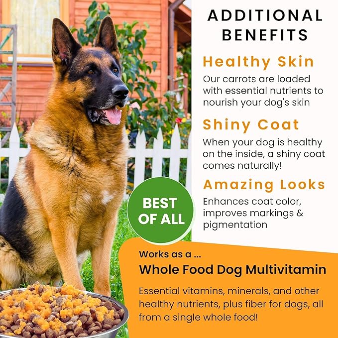 Olewo Original Carrots for Dogs – Fiber for Perfect Poop, Dehydrated Dog Food Toppers for Picky Eaters, Natural Skin & Coat Support, Multivitamin, Probiotics for Digestive & Gut Health, 1 lb