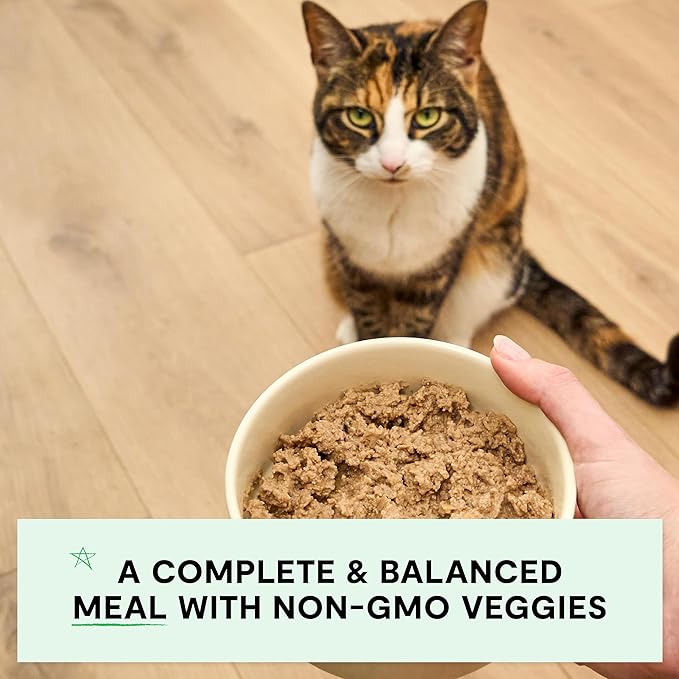 Open Farm Canned Cat Food, Paté for Complete & Balanced Nutrition, Grain-Free and Legume-Free Wet Cat Food, Salmon Recipe, 5.3oz Cans (Case of 12)