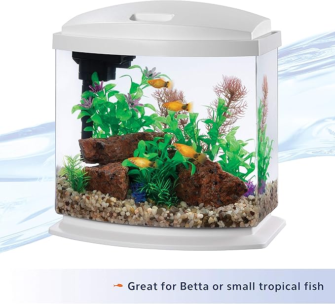 Aqueon LED MiniBow Aquarium Kit with SmartClean Technology, White, 2.5 Gallon