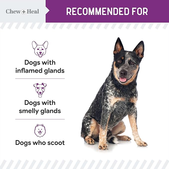 Chew + Heal Labs Glands Bowel Support - 5.4 oz of Stop The Scoot Powder for Scooting, Healthy Anal Glands, and Digestive Health - Made with Pumpkin Powder for Dogs