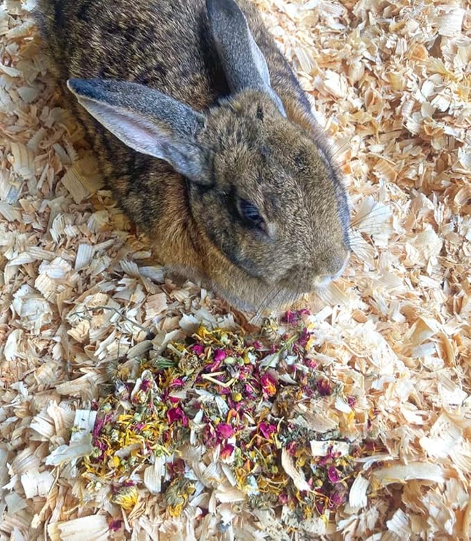 Herbal Forage Rabbit Treat & Hay Topper (2 Ounces): Premium Rabbit Food, Hay for Guinea Pigs Food, Chinchilla Food, Hamster Treat Made with Organic Herbs (10 Ounce)