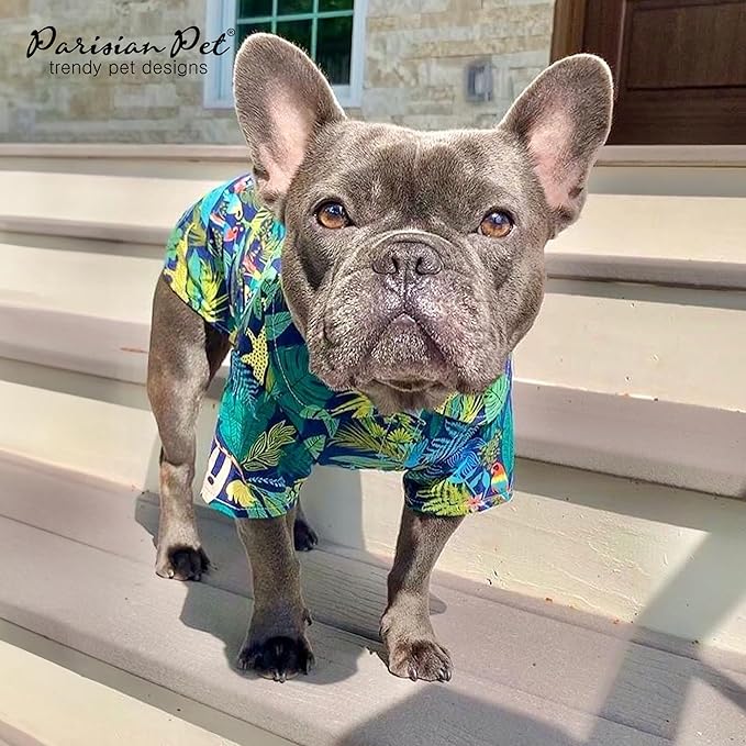 Parisian Pet Unisex Amazonia Shirt - Leafy Beach Outfit for Dogs - Cotton Summer Clothes - Stylish Hook and Loop Closure Costume - Machine Washable Shirts for Large Dogs - L