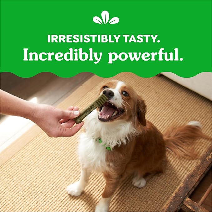 Greenies Petite Dental Dog Treats, Blueberry Flavor, 12 oz. Pack (20 Treats)