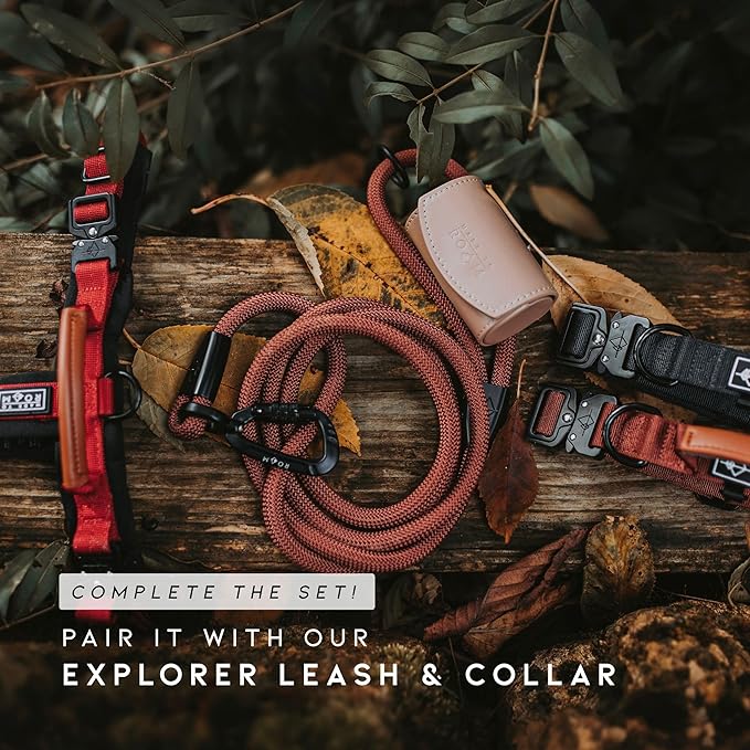MADE TO ROAM Premium Explorer Harness - Y-Shaped Dog Harness with Adjustable Durable Nylon, Soft Padding, Metal Buckles and Leather Handle for Small, Medium, Large Dogs (Washington Rain, Size 3)