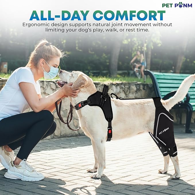 Comfortable Dog Knee Brace for Both Hind Legs with Harness - for ACL Tear, Luxating Patellae, Osteoarthritis & Instability - for Recovery & Injury Prevention in Active/Aging Dogs - (Small)