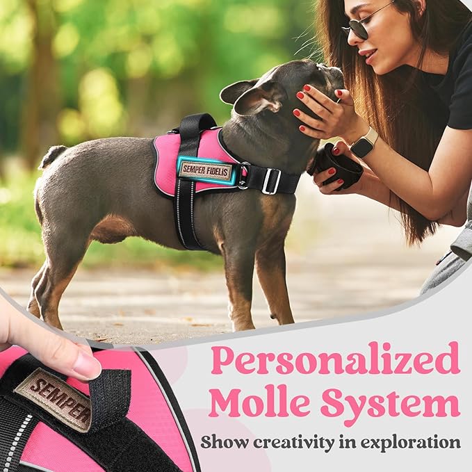 rabbitgoo Dog Harness Medium Sized, Easy On Pet Vest with One Buckle, No Pull Adjustable Service Harness with D-Ring & Handle, Reflective for Safety Walking, Training, Pink, M
