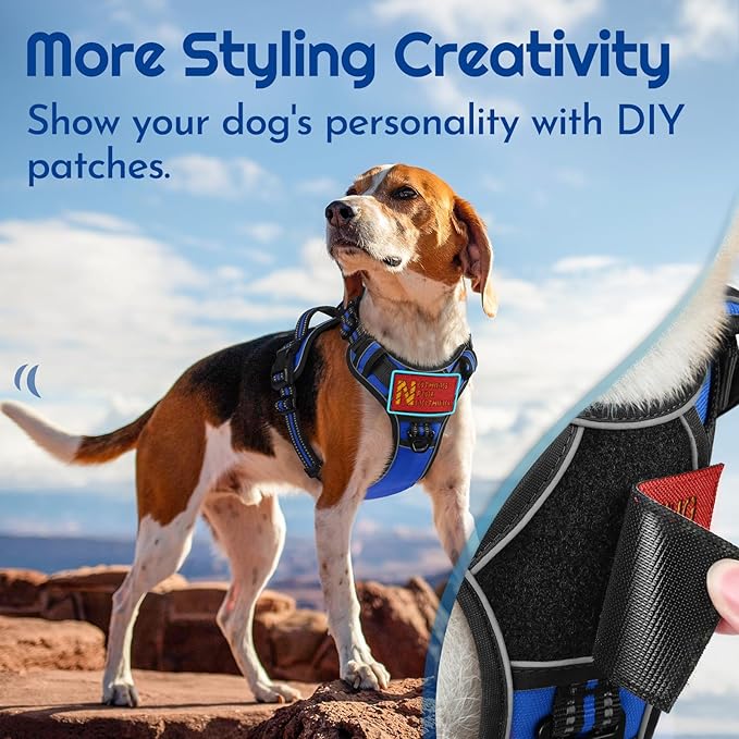Eagloo Dog Harness for Large Dogs, Easy Wearing with 3 Buckles, Adjustable No Pull Pet Harness with 2 Rings for Walking, No Chock Reflective Soft Padded Vest with Control Handle, Blue & Black, L