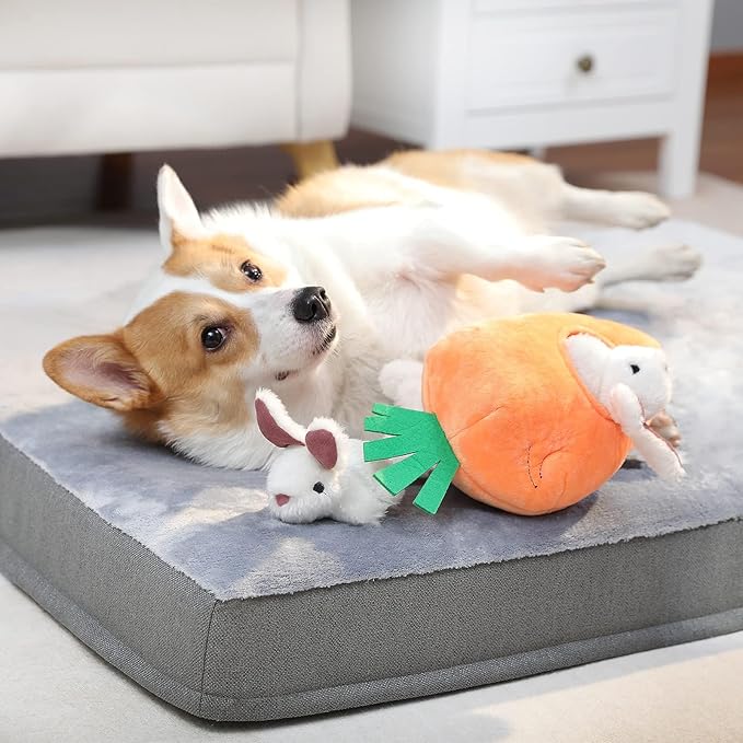 Amazon Basics Interactive Hide and Seek Squeaky Dog Plush Toy, Rabbit and Carrot, Orange and White, 5-Pack