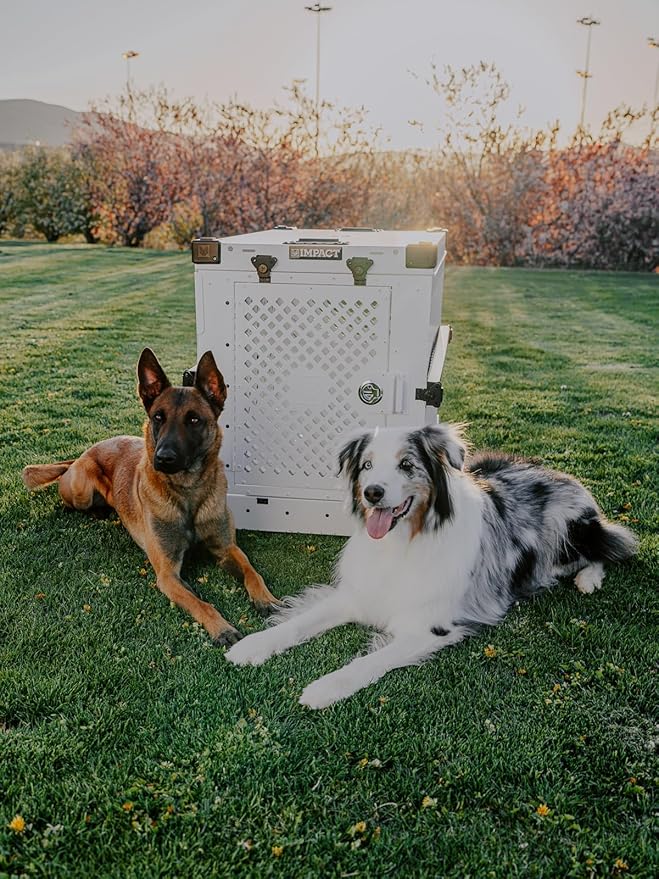 Impact Collapsible Dog Crate - Foldable Hard Crate for Medium Dogs - Heavy Duty Travel Kennel with Powder-Coated Aluminum - Quick Setup for Indoor & Outdoor (Black, 30" (30.5" L x 20.5" W x 26" H))