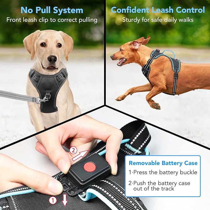 Light Up Dog Harness, No Pull LED Dog Harness with Handle, Rechargeable Lighted Safety Vest for Small Medium Large Dogs, Adjustable Soft Dog Lights for Night Walking