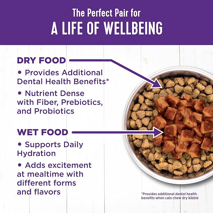Wellness Complete Health Cubed Adult Wet Cat Food, Natural, Protein-Rich, Grain Free, 5.5 Ounce, 24 Pack, (Turkey Entrée)