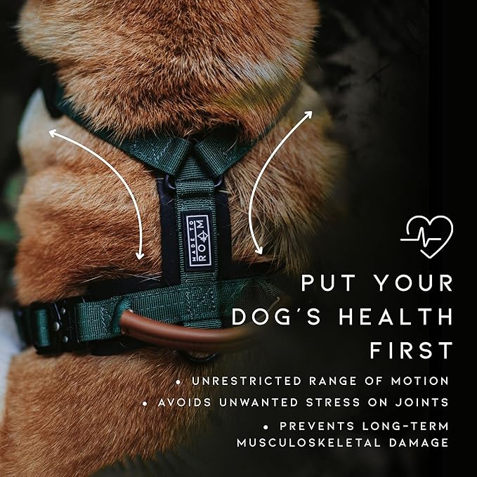 MADE TO ROAM Premium Explorer Harness - Y-Shaped Dog Harness with Adjustable Durable Nylon, Soft Padding, Metal Buckles and Leather Handle for Small, Medium, Large Dogs (Michigan Autumn, Size 3)