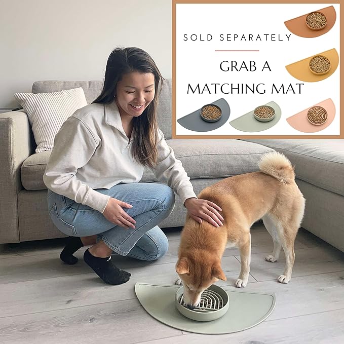 The Slowdown Bowl Silicone Slow Feeder for Dogs & Puppies, Slow Eating Modern Lick Mat Design Reduces Gulping, Fits 2.5 Cups 9.5” Across x 1.5” Tall, Mealtime Challenge, Large-Charcoal