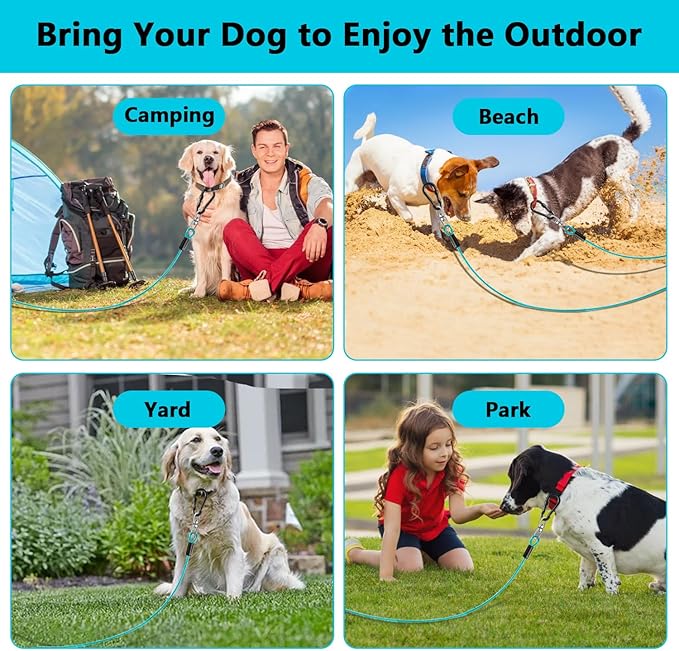 Dog Tie Out Cable 50FT-500Lbs,Heavy Duty Dog Leads Line for Yard with Swivel Hook,Medium Large Dogs Leash&Chains for Outside,Rust Chew Proof Dogs Run Cable for Outdoor Camping(Teal, 50FT)