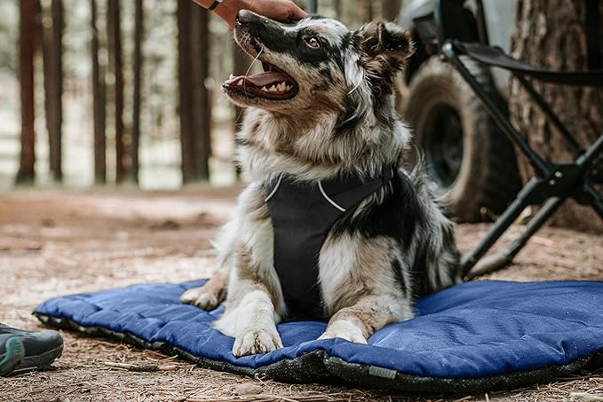 K9 Ballistics Tough Ripstop Dog Crate Pad - Durable & Machine Washable with Non-Skid Bottom and 120-Day Warranty, Fits 42" Wire Crates - Large, Blue Quartz