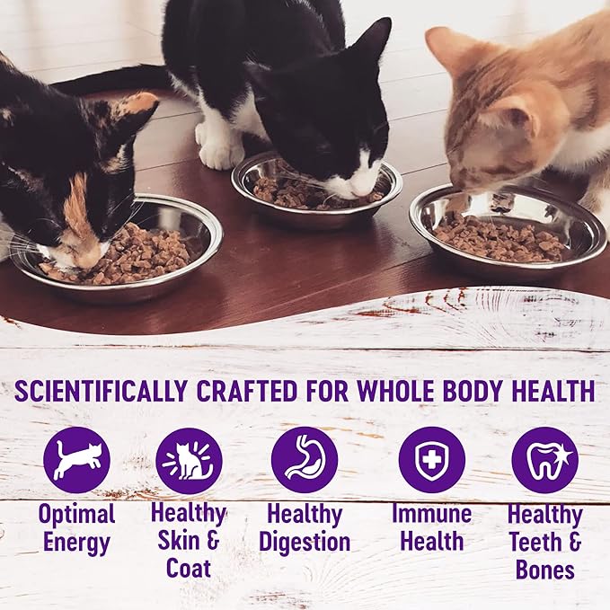 Wellness Healthy Indulgence Morsels Adult Wet Cat Food, Natural, Protein-Rich, Grain-Free, 3 Ounce Pouch, 8 Pack, (Morsels Variety Pack)