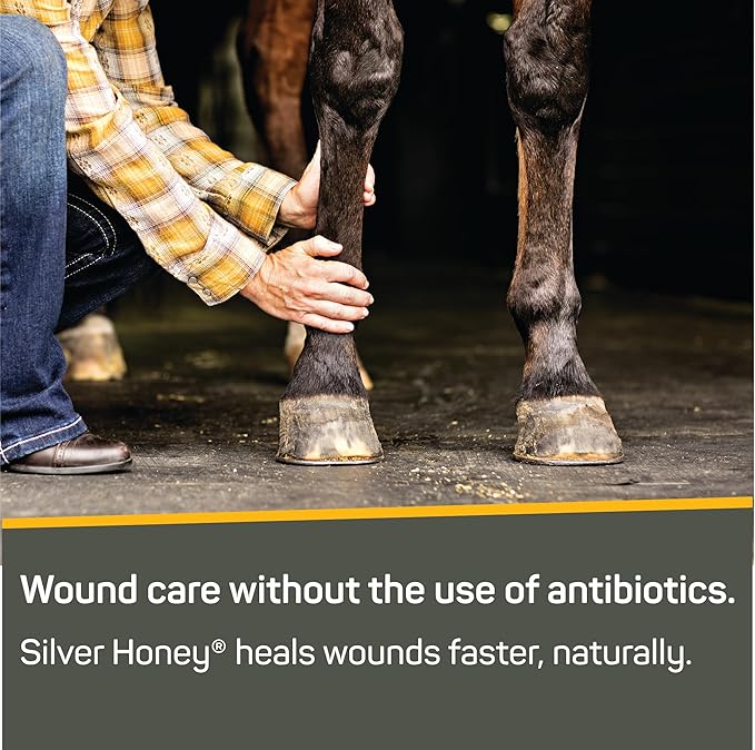 Absorbine Silver Honey Rapid Wound Repair Ointment, Manuka Honey & MicroSilver BG, Veterinarian Tested Horse & Animal Wound Care, 2oz Tube