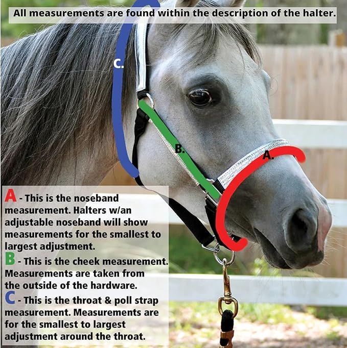 Jeffers Equine Mini Horse Halter – 3/4" Nylon Adjustable Halter for Miniature Horses, Ponies, Under 200 lbs – Heavy Duty Hardware, Secure Fit for Training, Turnout, Grooming, Travel – Dark Green