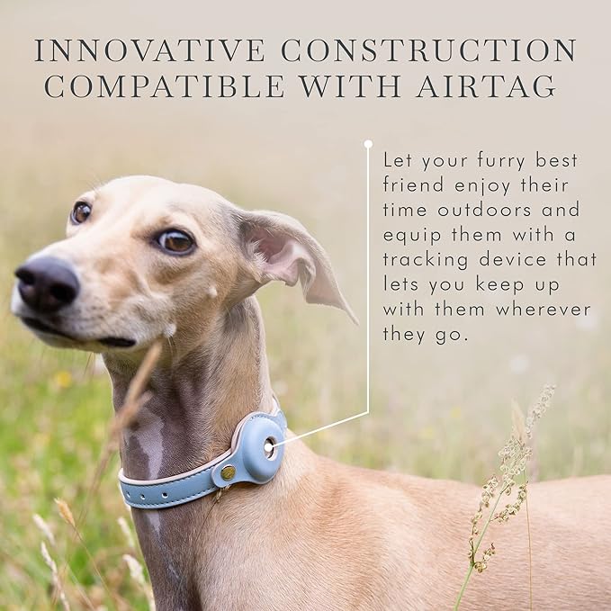Cupertino Dog Collars, Harnesses & Leashes Made from Vegan Leather with Dog Tracker Device Holder Adjustable Dog Collar (Extra Small, Blue)